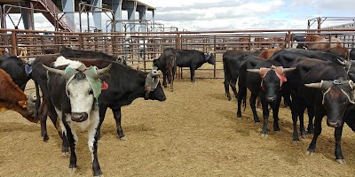 Socorro Soccer and Rodeo Complex