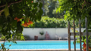 Photo n°8 de Gîte Écureuil à Faucon (Appartement de vacances)
