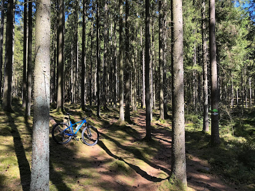 Skedalaskog - Thumbnail