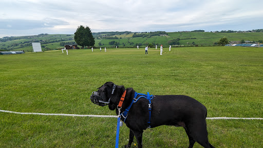 Haworth Cricket Club - Thumbnail