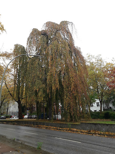 Spielplatz Am Weiher - Thumbnail