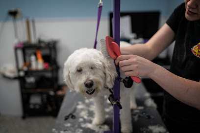 The Dog Stop - Knoxville