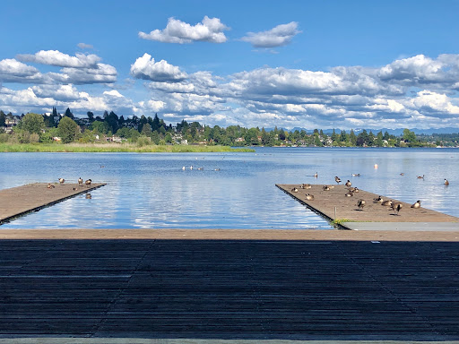 University of Washington Rowing - Thumbnail