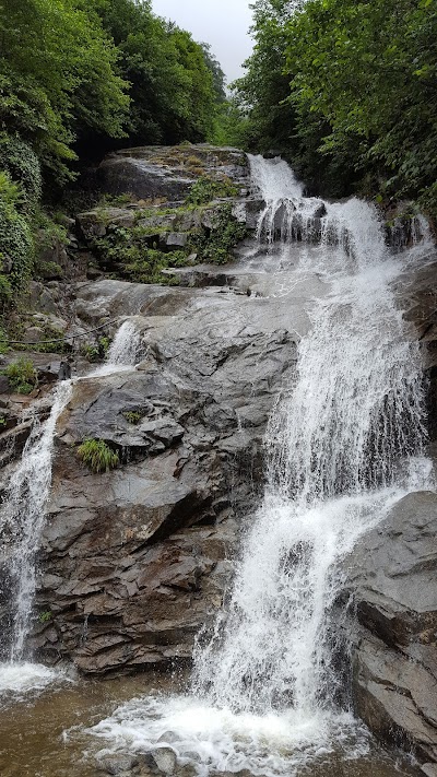 Fırtına Creek