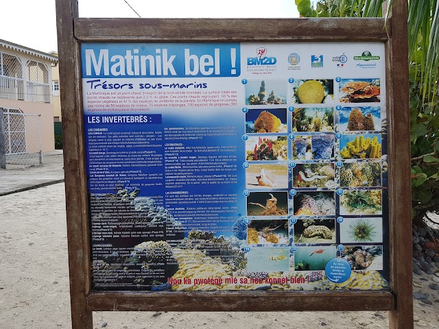 Plage de l' anse Mitan