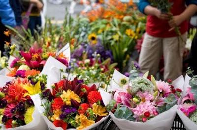 Photos of Main Street Floral