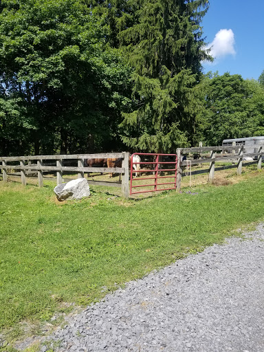 Backbone Horse Camp - Thumbnail
