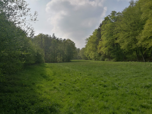 Wanderparkplatz Vossholz - Thumbnail