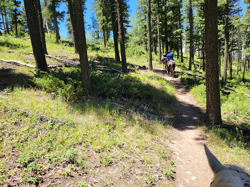 Beaver Creek Outfitters & Riding Stables - Thumbnail
