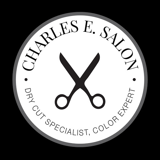 Charles E. Salon - Visual