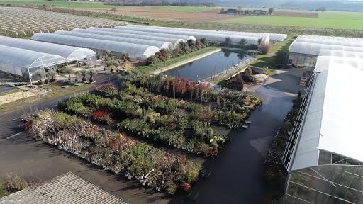 Photo de Les jardins de la Frolle