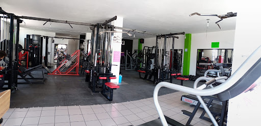 Sculptor Gym by Villeda Strenght