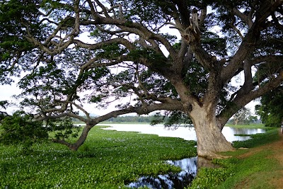 Photos of Janaka safari homestay
