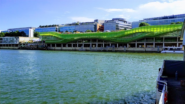Barapapa