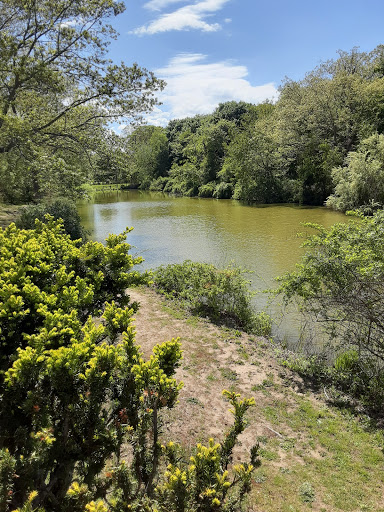 Wolf Pit Pond - Thumbnail
