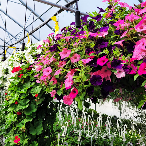 Bower's Produce - Thumbnail