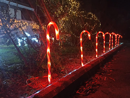 Christmas Garden - Thumbnail