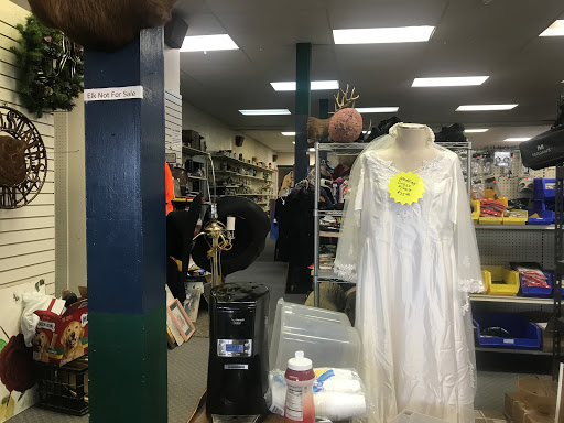 Trader Rays - Visual