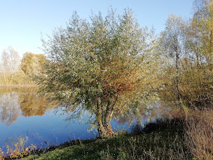 Photo n°63 de Camping Sur La Route Du Der en Champagne *** à Moncetz-l'Abbaye (Terrain de camping)