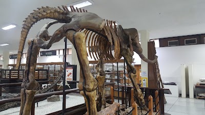 Photos of National Geological Museum Jos&eacute; Royo y G&oacute;mez