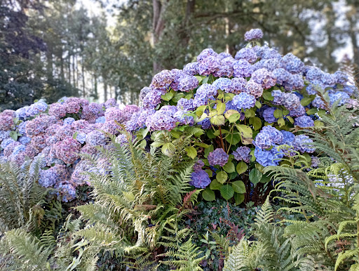 Photo de Elb jardinage et potager à Saint-Étienne-du-Rouvray (76800)