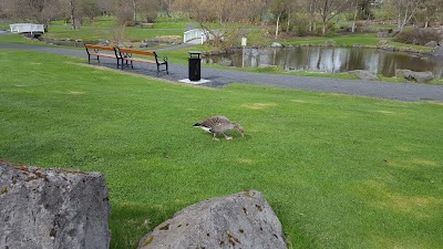 Photos of Reykjavik Botanical Garden