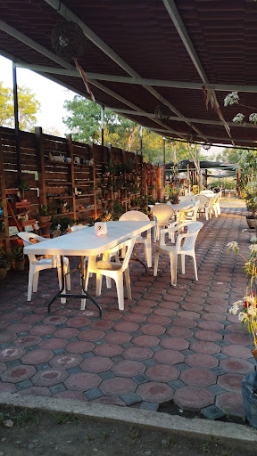 Restaurante La Rosita, Cecina de Yecapixtla, Alberca - Thumbnail