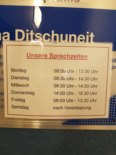 Ina Ditschuneit - Visual