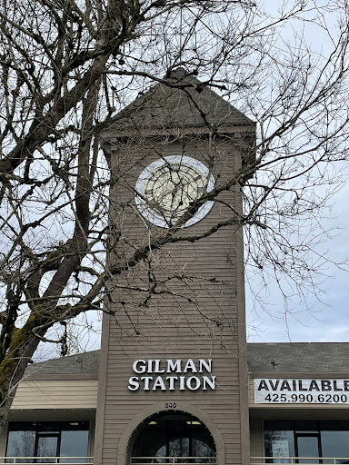 Gilman Station - Visual
