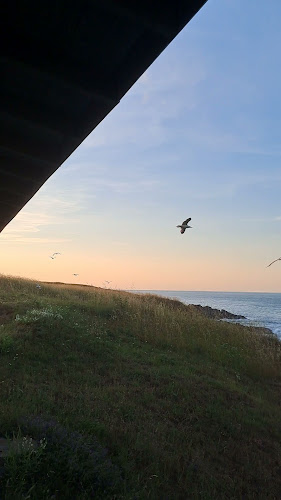 Taliana - Ресторант