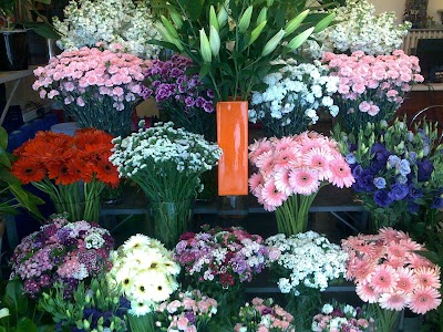 Photos of International Floriculture Sabuncakis