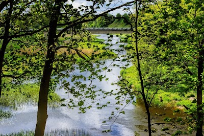 Photos of Jurakalnio geological educational trail