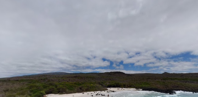 Comentarios y opiniones de Puerto Chino