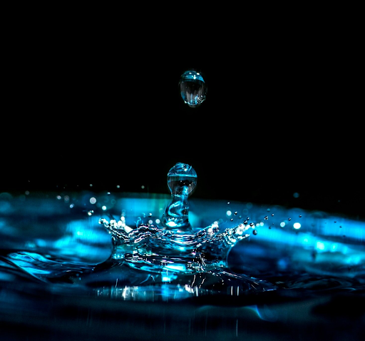 Flush Wellness Center