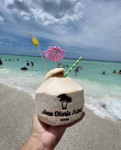 AM I COCONUTS? Gallery - United States