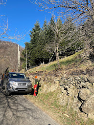 Photo n°20 de LA BÛCHE MONTILIENNE à Montélimar (Service d'élagage)