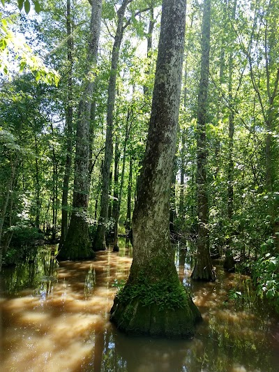 Cole Creek nature trail