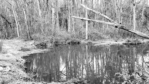 Maggie's Bridge - Visual