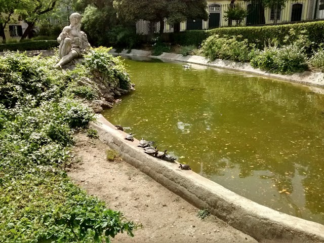 Jardim da Estrela