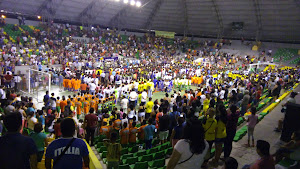 Coliseo Cerrado Juan Pinasco Villanueva 3