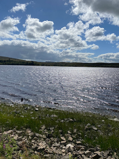 Lough Fea - Thumbnail