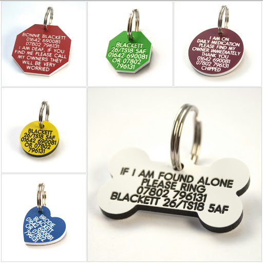 Loki Pet Supplies - Thumbnail