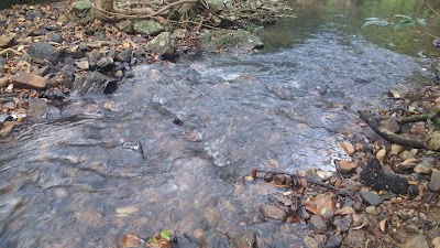 Photos of Yee Ting Campsite