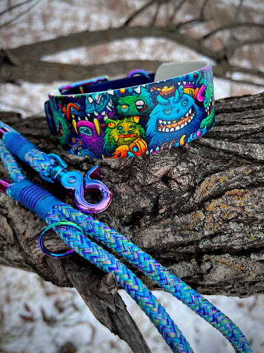 MyLeash - Visual