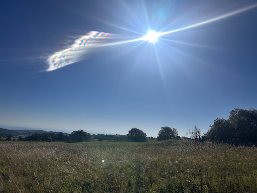 Schornhecke