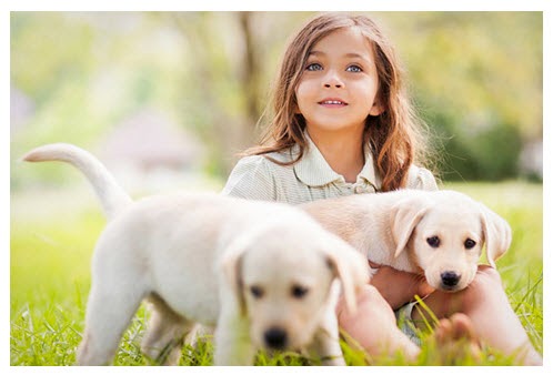 Animal Medical Center of Redlands