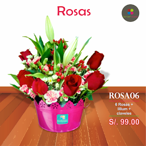 Floreria Garden Roses 6