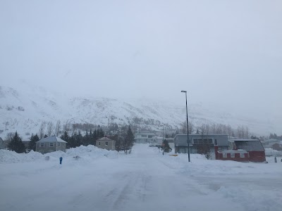 Photos of L&oacute;nsleira Apartments