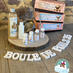 Photo n°15 de Boule de poils à Treffendel (Toiletteur)