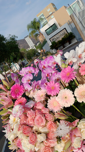 Florerias Quetzal Morelia - Thumbnail